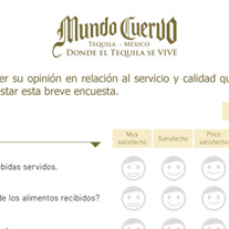 Solution: expert hospitality l customer satisfaction survey<br />
Client:  Mundo Cuervo<br />
Location: Tequila, Jalisco